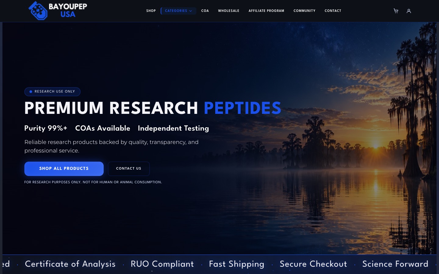 The current homepage